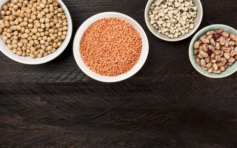 Légumineuses : pourquoi les protéines végétales sont l'avenir de notre alimentation