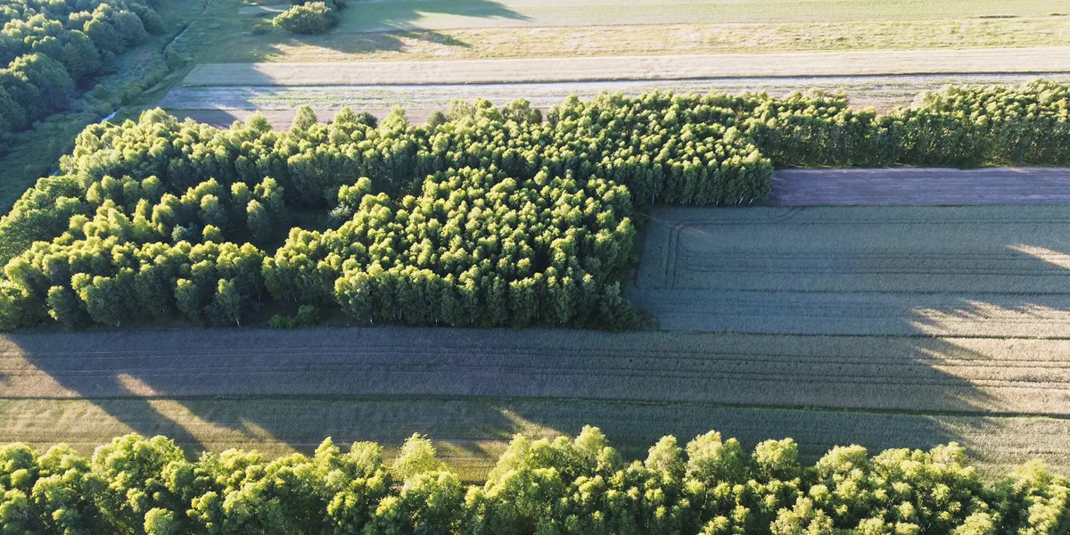 Paysage de ferme européenne en lumière dorée